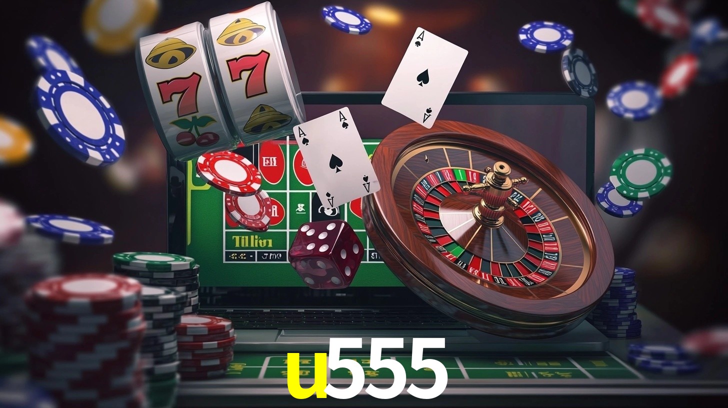 Premium Interface u555