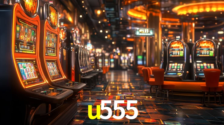 u555 App Interface